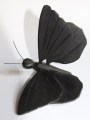 Vlinder zwart 800
